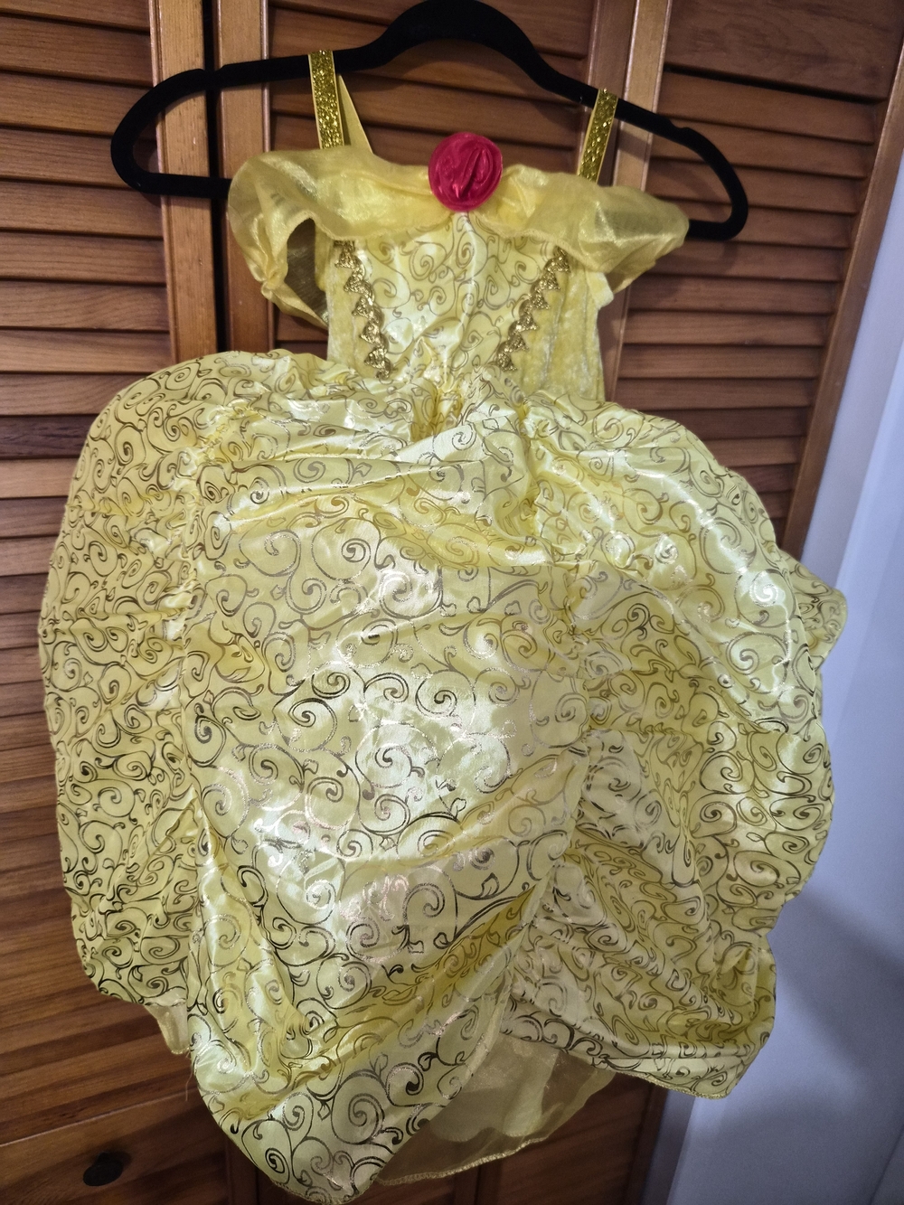 Beauty And The Beast Costume